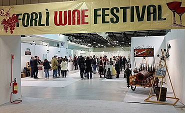 Wine Festival - Forlì 2018